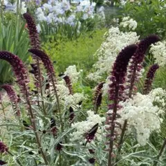 やまと様 リクエスト 3点 まとめ商品