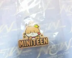 miniteen ミニティーン ディノ めじるしアクセサリー