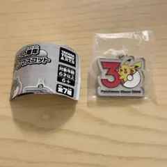 ポケモン 30周年 メタルチャームマスコット ピカチュウ めじるしアクセサリー