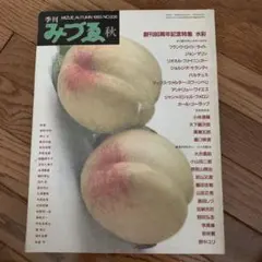 Item thumbnail for item 4e2002c7-2b74-4c9d-81fc-b7ade9678a44