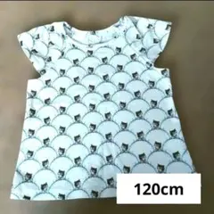 キッズ　ユニクロ　ポール&ジョー　コラボ　ねこ柄　Tシャツ　120cm