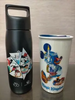 新品】HKDL「香港ディズニーランド 」ステンレスボトル - メルカリ