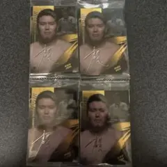 RIZIN 上田幹雄 トレーディングカード