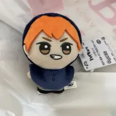 ハイキュー!! ちびぐるみ アニマルポンチョ vol.1 日向翔陽