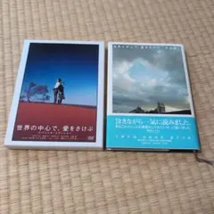 世界の中心で、愛をさけぶ スペシャル・エディション DVD - メルカリ