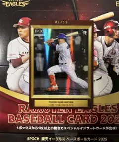 Item thumbnail for item 0ae8726f-4a07-48b1-901a-652fd973489b