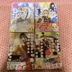 ある日、お姫様になってしまった件について 10〜13巻セット