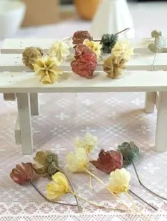 芙蓉の花殻ドライフラワー セット♧スモーキー5色とお花の種❣