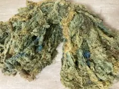 Item thumbnail for item 5ac86fda-e7f7-4d09-86e3-74f578fe778a