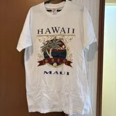 JERZEES HAWAII MAUI プリントTシャツ ホワイト M