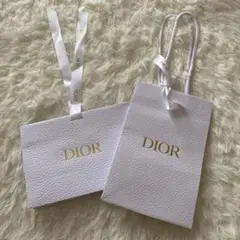 Dior ショッパー ２枚セット