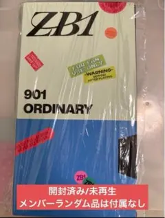 never say never K-POP