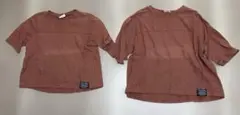 BREEZE ブラウン（茶褐色） Tシャツ 130、100cm セット