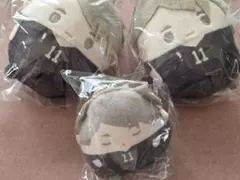 宮治 ハイキュー ぬいくじ D賞＆E賞 ふわコロりん てのりんず