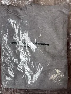 Item thumbnail for item 425bf74a-0c9c-44db-bf7d-39d4e6dfa4f8