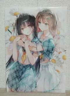 ▨ DSマイル♡ クリアファイル ⭐️°·*▫三