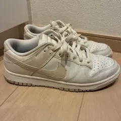 ナイキ　NIKE DV0831-003