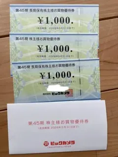 ビックカメラ 株主優待券 3000円
