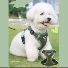 DUCMM 通気性ハーネス Mサイズ