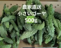 小さいゴーヤ　ネコポス　箱込み約500gのサムネイル