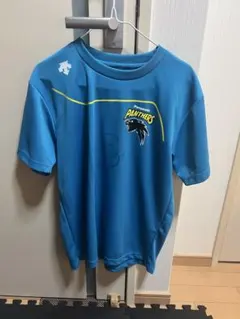 パナソニックパンサーズ