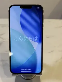 【美品】iPhone 13 Pro Max Silver SIMフリー 残債なし