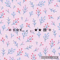 ＊ K☆K。。。★★ 様 ＊ ご相談ページです
