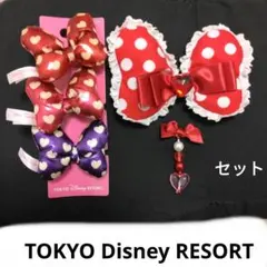 ディズニー　ミニー　りぼん　ヘアゴム　イヤリングカチューシャ　パーツ　セット