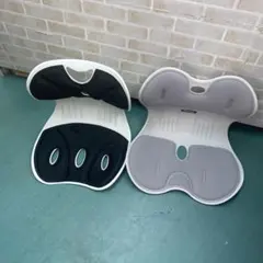 PACEIN ランバーサポート 【 四つ葉可動式】 高反発 通気性 人間工学