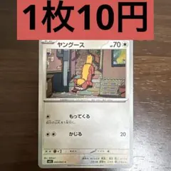 ヤングース C 残り8枚のサムネイル