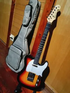SX Standard Series モディファイ 訳あり美品 ギグバッグ付 SX Standard モディファイ 訳あり美品 ギグバッグ付 - メルカリ