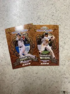 2026年最新】柳田悠岐トリプルスリーの人気アイテム - メルカリ