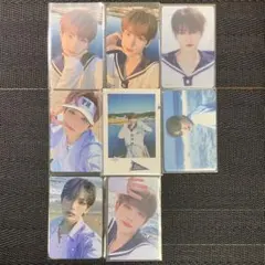 &TEAM HARUA ハルア 青嵐 8枚