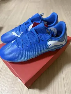 PUMA フューチャー 7 プレイ HG/AG+MID JR 24.0のサムネイル