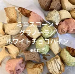 ミニスコーン * グラノーラ／ホワイトチョコパインetc *のサムネイル
