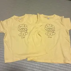 Item thumbnail for item 19318cf7-89be-49a6-acd9-f2ee48674056