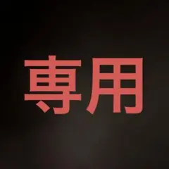 2025年最新】トラベルシステム ジョイーの人気アイテム - メルカリ