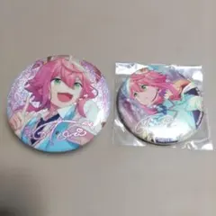 p*i様 あんさんぶるスターズ あんスタ 缶バッジセット 姫宮桃李