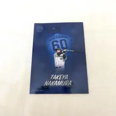 埼玉西武ライオンズ　ライオンズグルメ特製選手カード　中村剛也 ライオンズ