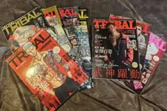 2026年最新】タトゥートライバル 雑誌の人気アイテム - メルカリ