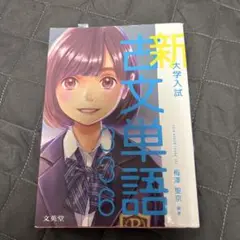新大学入試 英文単語 336