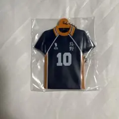 ハイキュー!! 烏野高校 ユニフォーム型キーホルダー 10番
