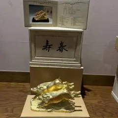 2025年最新】富永直樹の人気アイテム - メルカリ