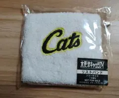 木更津キャッツアイ リストバンド