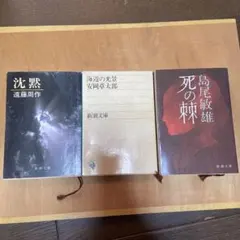 Item thumbnail for item a2886cb9-8e27-41d2-a0b1-fc60bc93490a