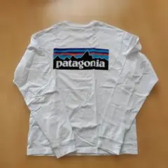 パタゴニア Tシャツ