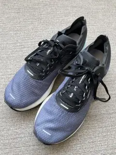サロモン　Salomon sonic4 accelerateのサムネイル
