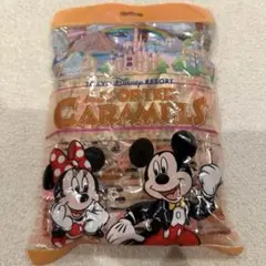 東京ディズニーリゾート アソートキャラメルのサムネイル