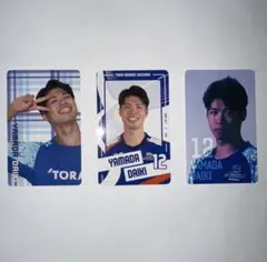 東レアローズ 静岡 来場特典 選手トレカ 東レ バレー カード 山田 大貴 12