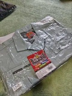 Item thumbnail for item 71244611-d8ae-406a-9cf5-961bd2450ec2